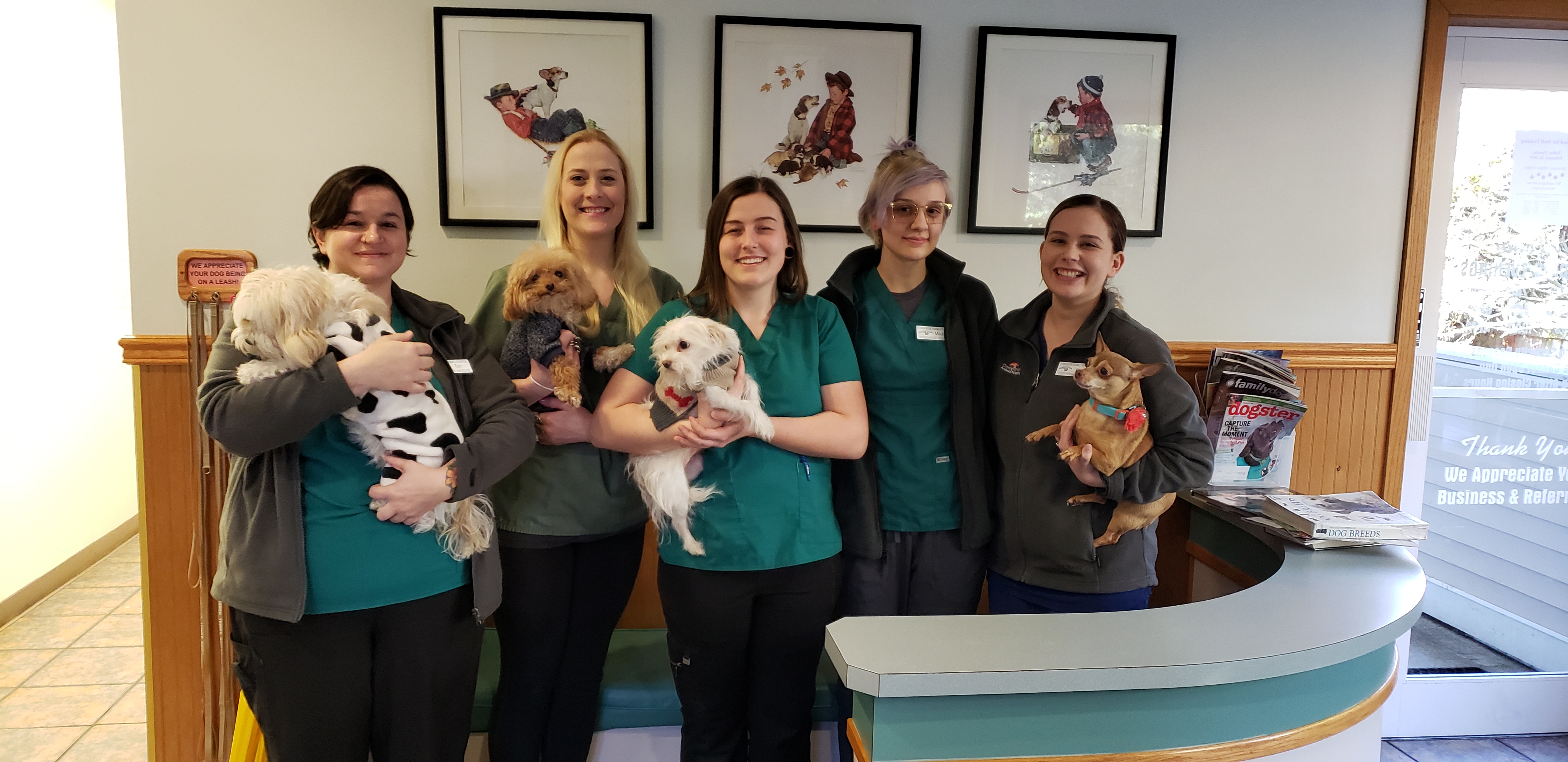 Dentistry Pet Dental Care At Pet Clinic In Bellevue, WA The Front